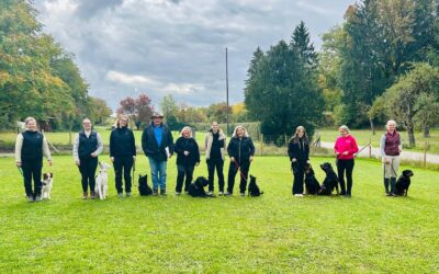 Herbstprüfung am Samstag, 18.10.2025